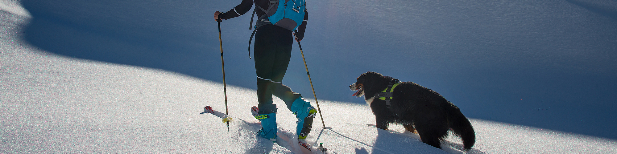 Skiing In Europe With Dogs Eurotunnel LeShuttle™